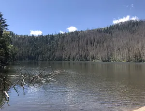 Šumava