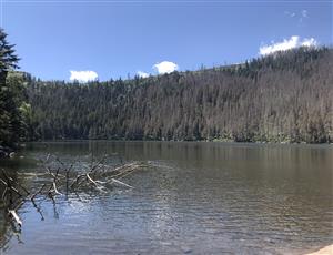 Šumava